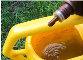 Samo NEKOLIKO kapi ubija plamenjaču paradajza: Više cvjeta, plodovi brže sazrijevaju