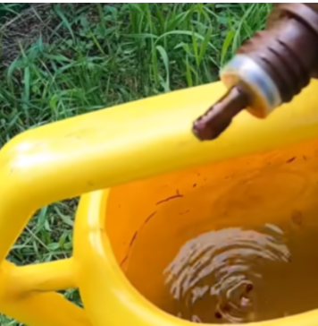 Samo NEKOLIKO kapi ubija plamenjaču paradajza: Više cvjeta, plodovi brže sazrijevaju