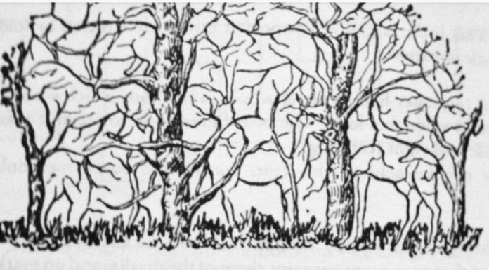 Prva životinja koju vidite na ilustraciji otkriće vam apsolutno sve o vašoj ličnosti i to bez greške