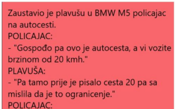 VIC DANA !!! PLAVUŠA NA AUTOCESTI