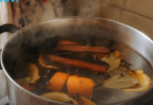 Ne bacajte pare na osvježivače: Ubacite ovo u vodu i cijela kuća će mirisati na luksuz!