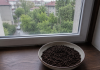 U julu svi stavljaju talog od kafe na prozor: Kada otkrijete zašto, odmah ćete uraditi isto