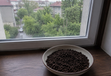 U julu svi stavljaju talog od kafe na prozor: Kada otkrijete zašto, odmah ćete uraditi isto