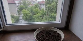 U julu svi stavljaju talog od kafe na prozor: Kada otkrijete zašto, odmah ćete uraditi isto