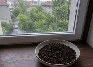 U julu svi stavljaju talog od kafe na prozor: Kada otkrijete zašto, odmah ćete uraditi isto