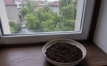 U julu svi stavljaju talog od kafe na prozor: Kada otkrijete zašto, odmah ćete uraditi isto