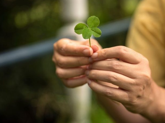 6 ZNAKOVA DA ĆE VAM SE USKORO DESITI NEŠTO DOBRO: Evo na koje SIGNALE treba da obratite pažnju