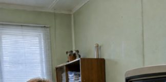 Žena u osmom mesecu trudnoće otišla je na ultrazvuk, ali čim je doktorka pogledala u monitor, preplašenim glasom je rekla: „Ne smete da se vratite kući. Ostavite muža.“ 😳 - featured image