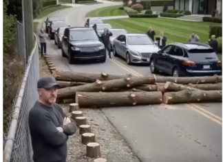 Posekli su mi drveće zbog svog „pogleda“ – pa sam zatvorio jedini put koji vodi do njihovog komšiluka