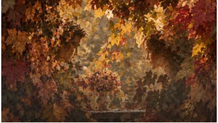 Screenshot_37