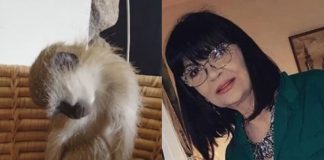 Nada Obrić živela sa majmunom, hranila ga, sa sobom vodila: Nije ni slutila šta će je te večeri snaći u podrumu – igrala se sa đav0lom, koštao je života - featured image