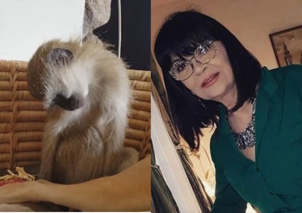 Nada Obrić živela sa majmunom, hranila ga, sa sobom vodila: Nije ni slutila šta će je te večeri snaći u podrumu – igrala se sa đav0lom, koštao je života - featured image Nada Obrić živela sa majmunom, hranila ga, sa sobom vodila: Nije ni slutila šta će je te večeri snaći u podrumu – igrala se sa đav0lom, koštao je života - featured image