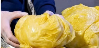 Domaći kiseli kupus sa posebnom žućkastom bojom: Tajna je u jednom sastojku koji mu daje savršen ukus