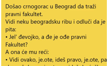 VIC DANA !! CRNOGGORAC U BEOGRADU
